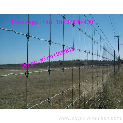 2.5mm 5ft high grassland fence field fence